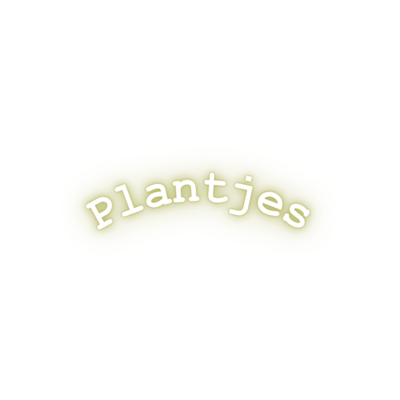 Plantjes